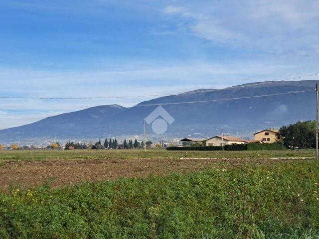 Terreno in vendita a Spello, Perugia