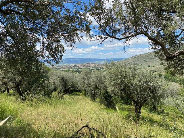 Terreno in vendita a Spello, Umbria