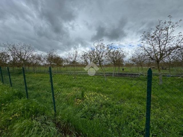 Terreno in vendita a Spello, Umbria
