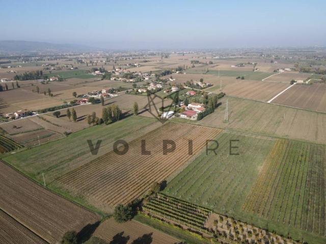 Terreno in vendita a Spello, Umbria