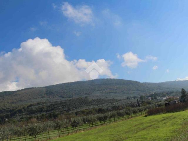 Terreno in vendita a Spello, Umbria
