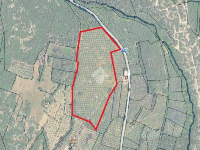 Terreno in vendita a Spello, Perugia