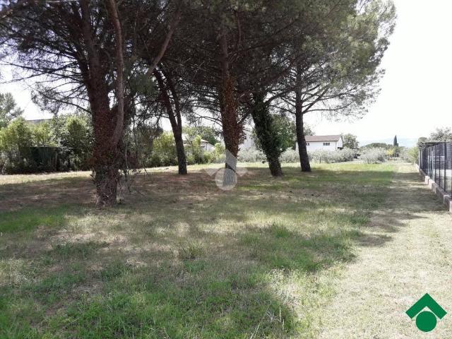 Terreno in vendita a Spello, Umbria
