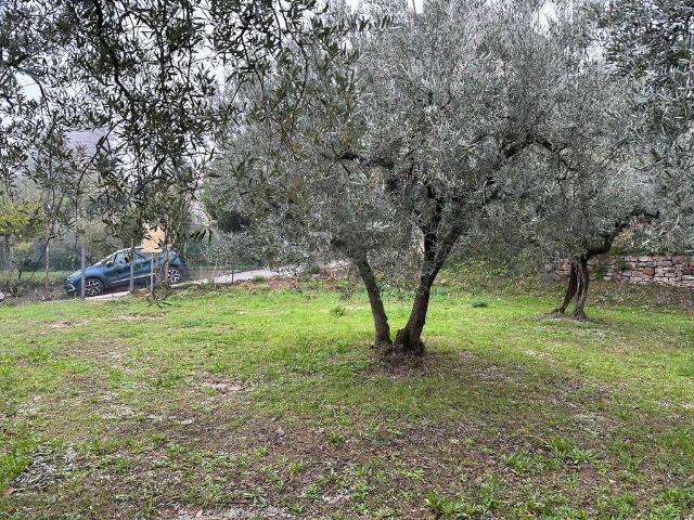 Terreno in vendita a Spello, Umbria