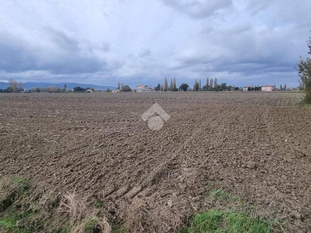 Terreno in vendita a Spello, Umbria