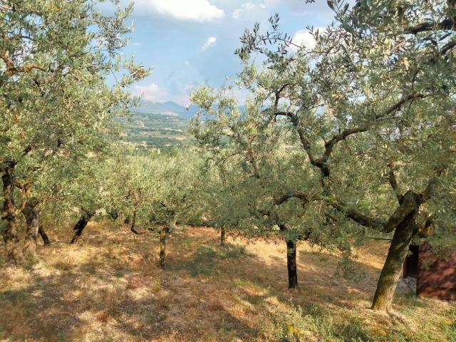 Terreno in vendita a Spello, Umbria