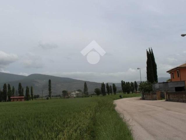 Terreno in vendita a Spello, Umbria