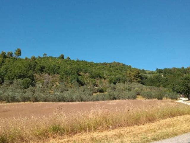 Terreno in vendita a Collepino, Spello