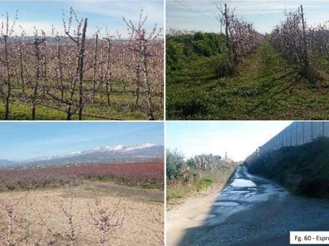 Terreno in vendita a Calabria, Cosenza