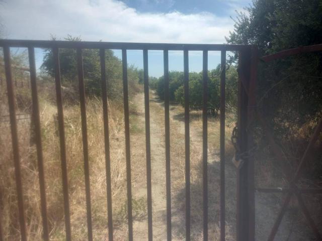 Terreno in vendita a Calabria, Cosenza