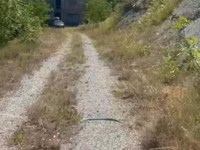 Terreno in vendita a Spigno Monferrato, Alessandria