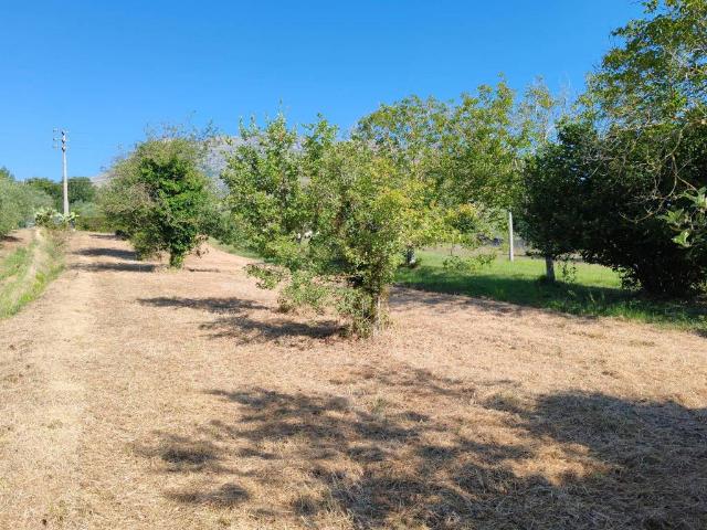 Terreno in vendita a Spigno Saturnia, Lazio