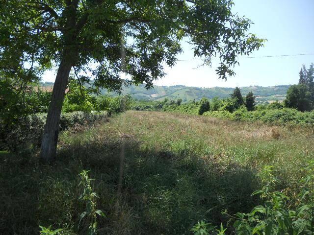 Terreno in vendita a Marche, Ascoli Piceno