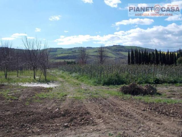Terreno in vendita a Marche, Ascoli Piceno