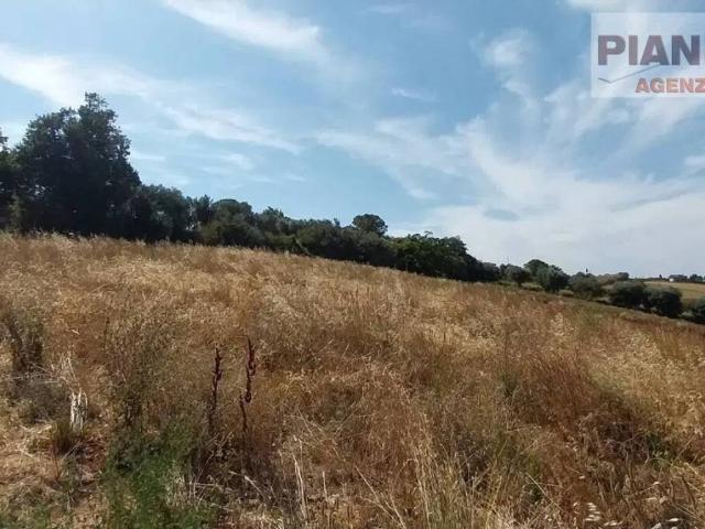 Terreno in vendita a Marche, Ascoli Piceno