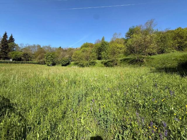 Terreno in vendita a San Pietro, Spinone Al Lago