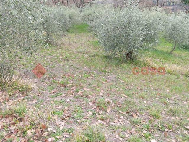Terreno in vendita a San Venanzo, Spoleto