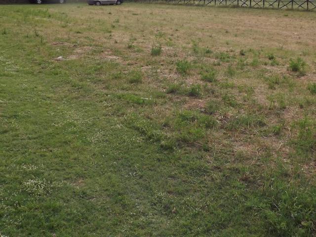 Terreno in vendita a Spoleto, Umbria