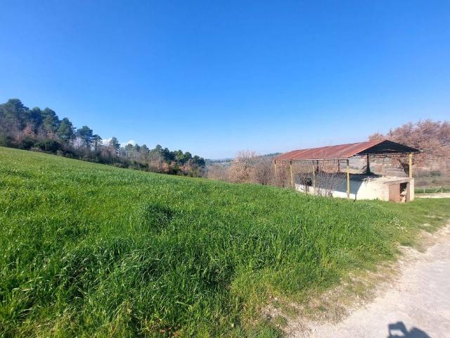 Terreno in vendita a Petrognano, Spoleto