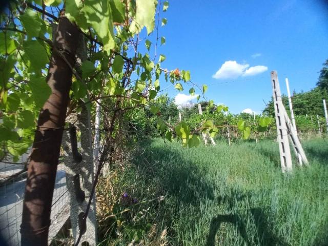 Terreno in vendita a Spoleto, Umbria
