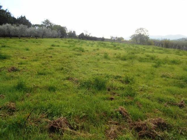 Terreno in vendita a Spoleto, Umbria