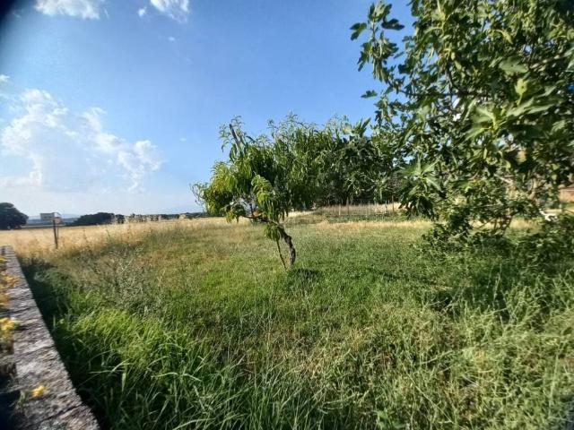 Terreno in vendita a Spoleto, Umbria