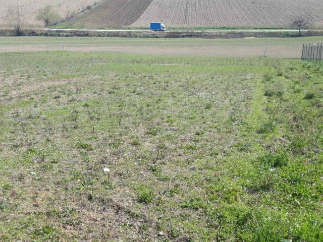 Terreno in vendita a Spoleto, Umbria