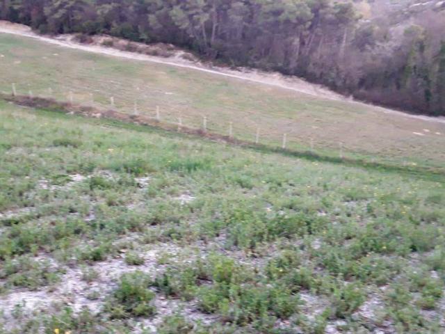 Terreno in vendita a Spoleto, Umbria