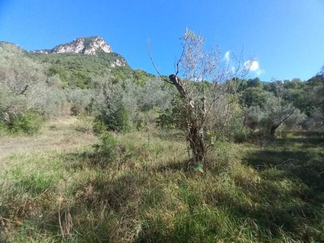 Terreno in vendita a Belvedere, Spoleto