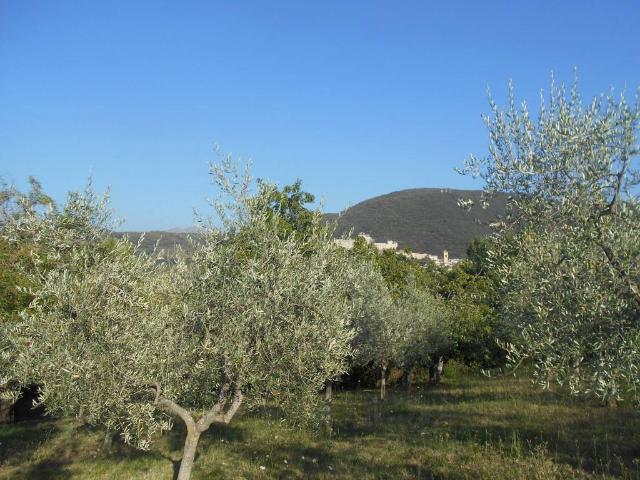 Terreno in vendita a Collerisana, Spoleto