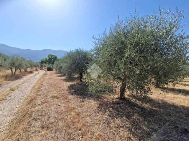 Terreno in vendita a Spoleto, Umbria