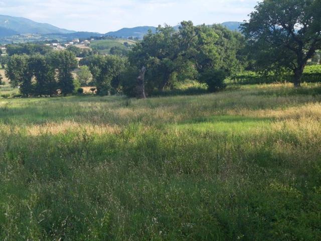Terreno in vendita a Spoleto, Umbria