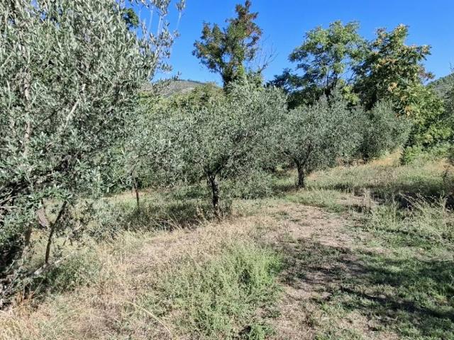 Terreno in vendita a La Piaggia, Spoleto