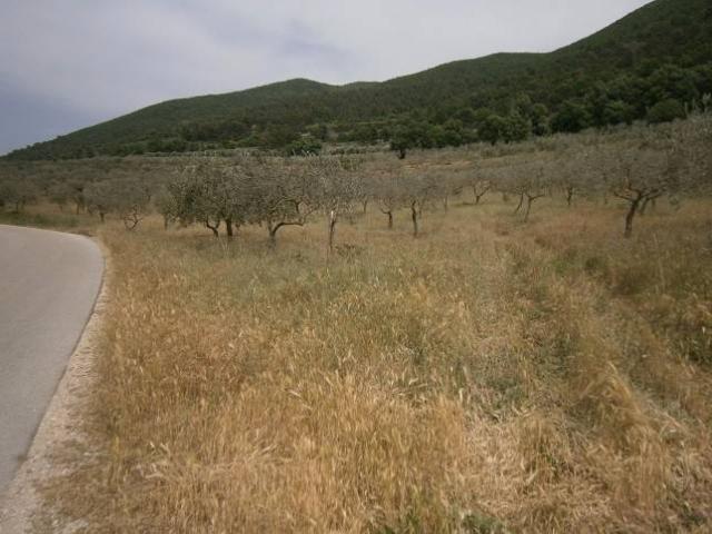 Terreno in vendita a Spoleto, Umbria