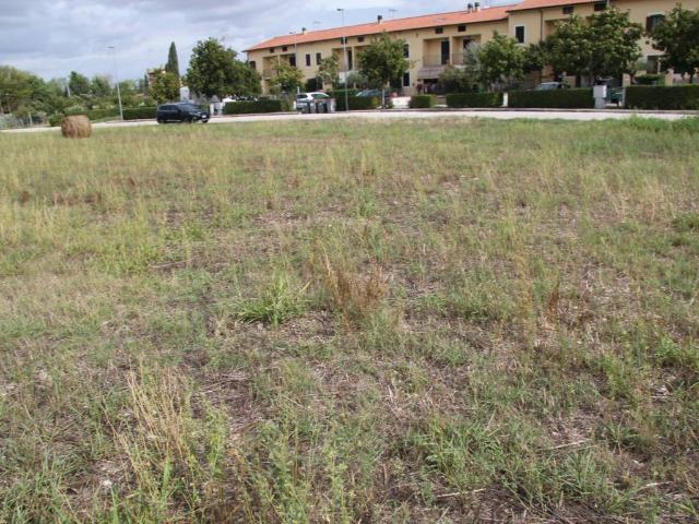 Terreno in vendita a San Venanzo, Spoleto