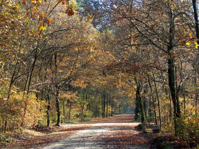 Terreno in vendita a Spoleto, Umbria