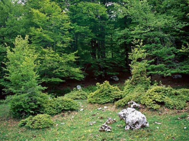Terreno in vendita a Spoleto, Umbria