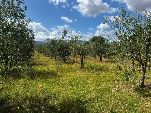Terreno in vendita a Spoleto, Umbria