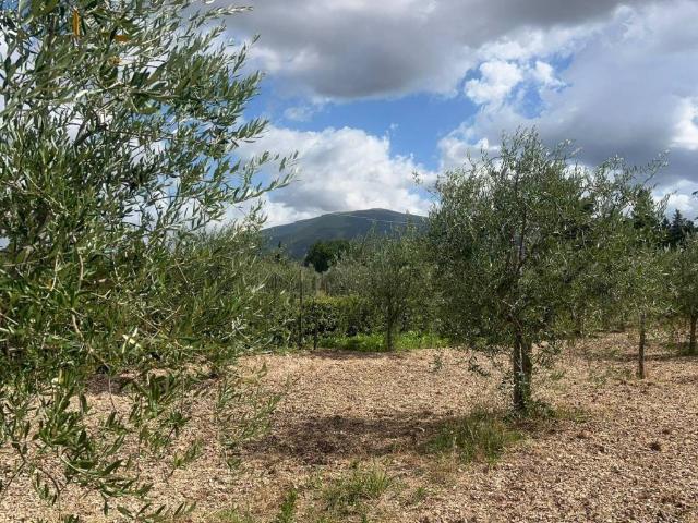 Terreno in vendita a Spoleto, Umbria