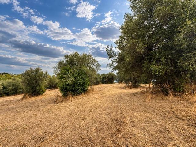 Terreno in vendita a Santa Lucia, Spoltore