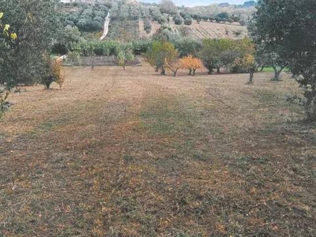 Terreno in vendita a Spoltore, Abruzzo