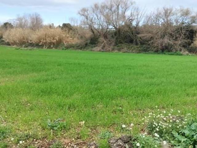 Terreno in vendita a Villa Raspa, Spoltore