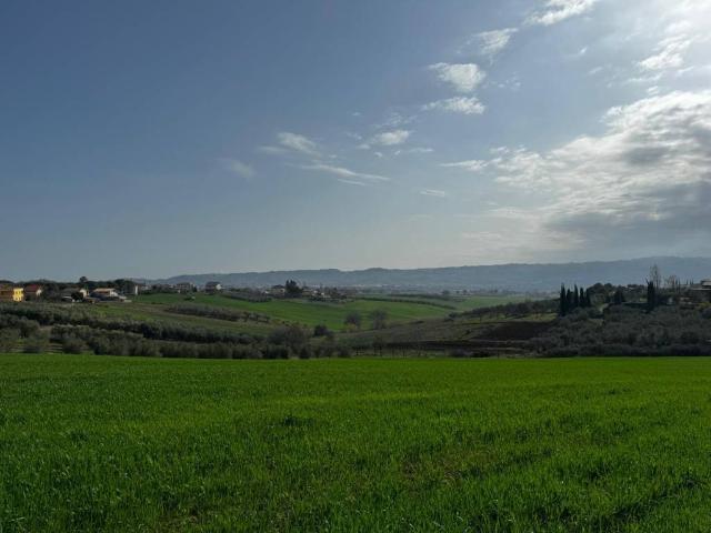 Terreno in vendita a Spoltore, Abruzzo