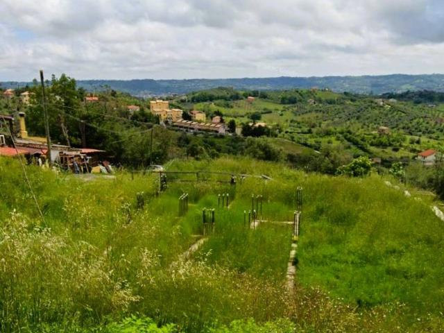 Terreno in vendita a Spoltore, Abruzzo