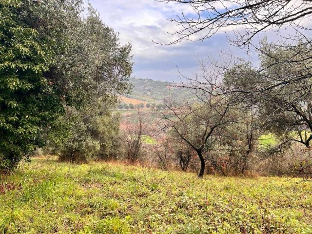 Terreno in vendita a Valle Carbone, Spoltore