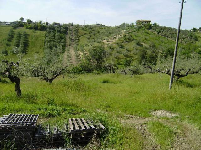 Terreno in vendita a Spoltore, Abruzzo