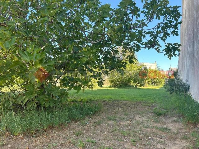 Terreno in vendita a Puglia, Lecce