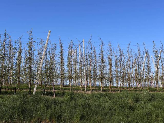 Terreno in vendita a Comunità della Val di Non, Sporminore