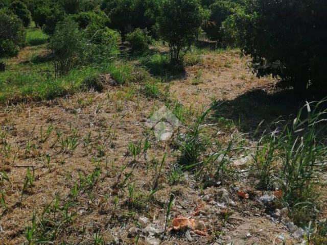 Terreno in vendita a Calabria, Catanzaro