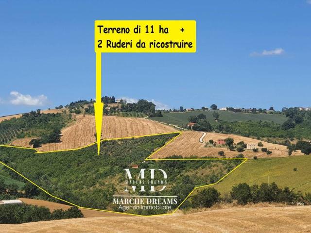 Terreno in vendita a Marche, Ancona